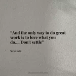 “And the only way to do great work is to love what you do.... Don't settle”