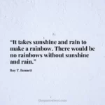 “It takes sunshine and rain to make a rainbow. There would be no rainbows without sunshine and rain.”