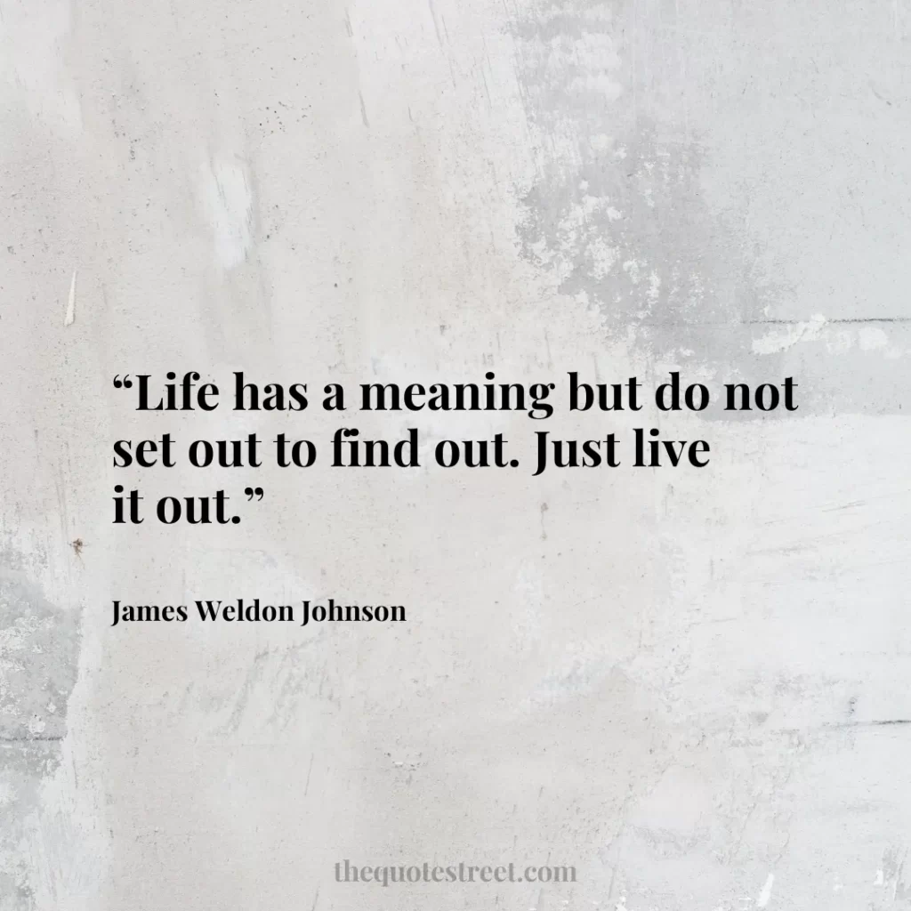 “Life has a meaning but do not set out to find out. Just live it out.”