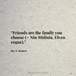“Friends are the family you choose (~ Nin/Ithilnin