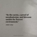 Focus