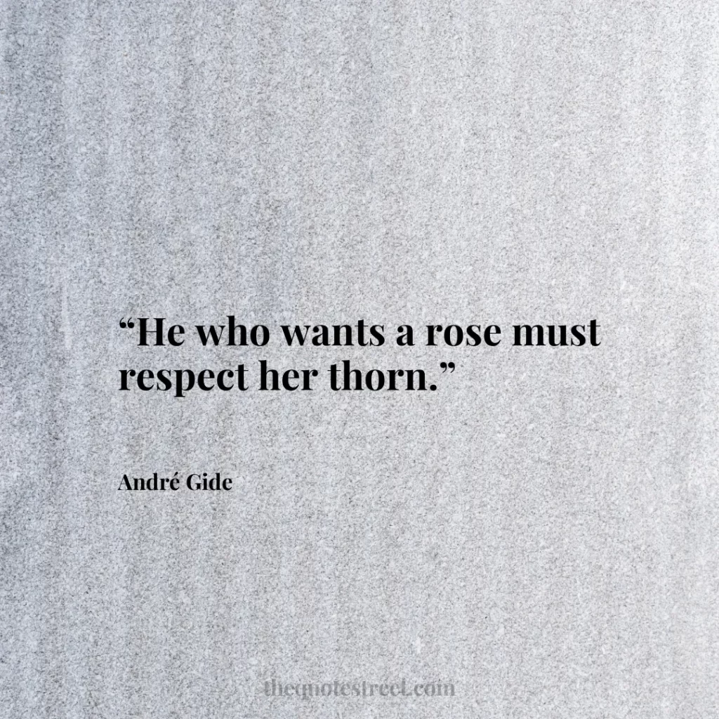 “He who wants a rose must respect her thorn.”