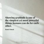 Showing gratitude is one of the simplest yet most powerful things humans can do for each other.- Randy Pausch