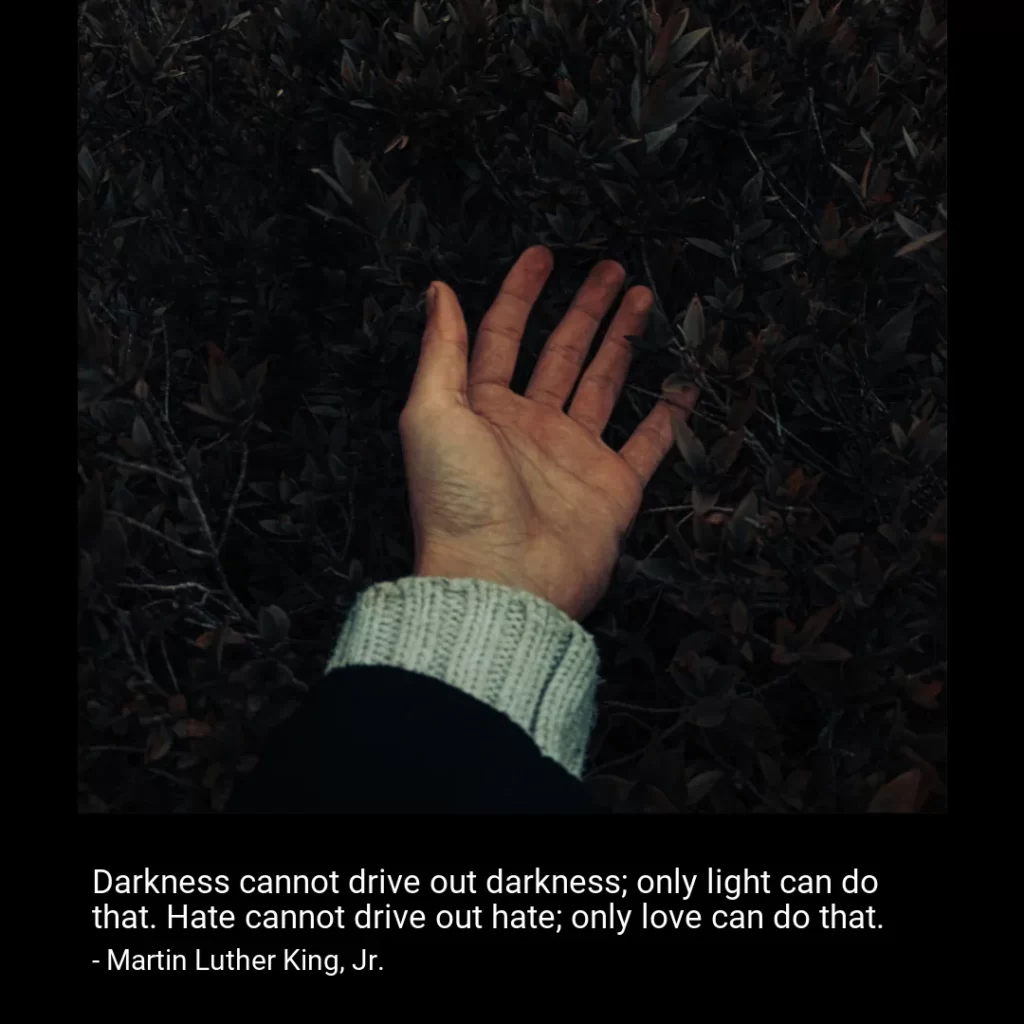 Darkness cannot drive out darkness; only light can do that. Hate cannot drive out hate; only love can do that.-