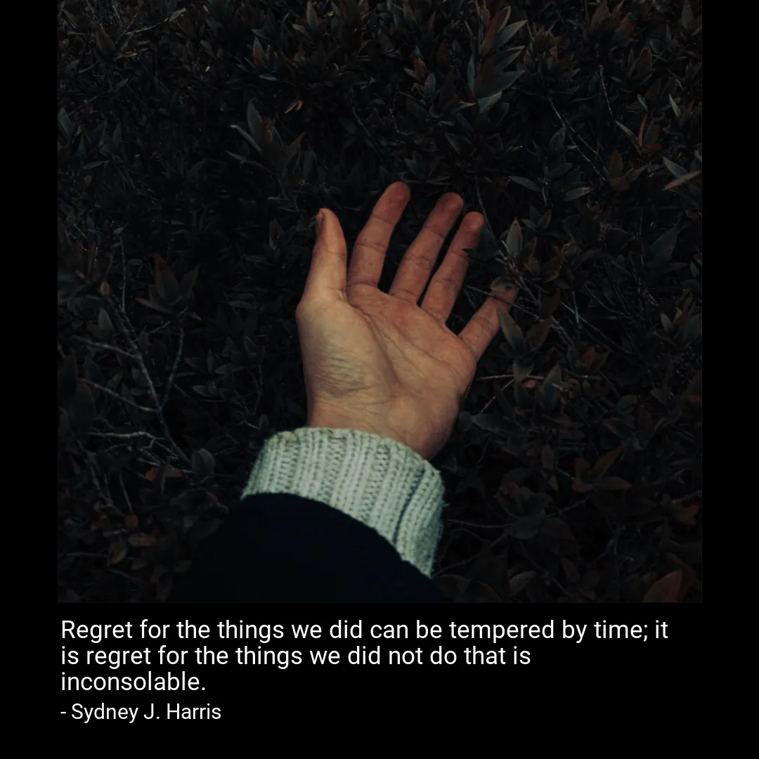 Regret for the things we did can be tempered by time; it is regret for the things we did not do that is inconsolable.-