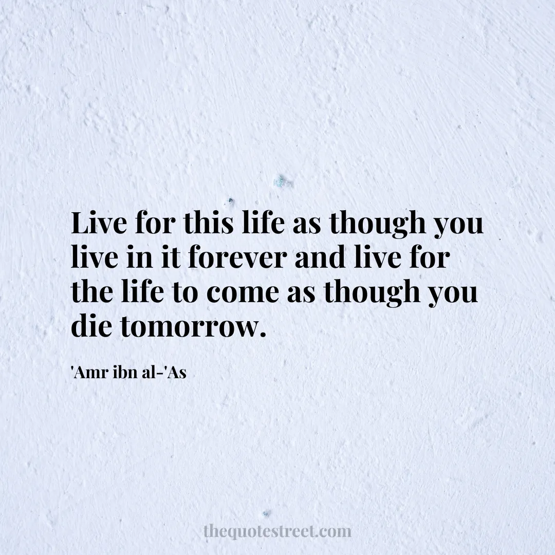 Live for this life as though you live in it forever and live for the life to come as though you die tomorrow. - 'Amr ibn al-'As