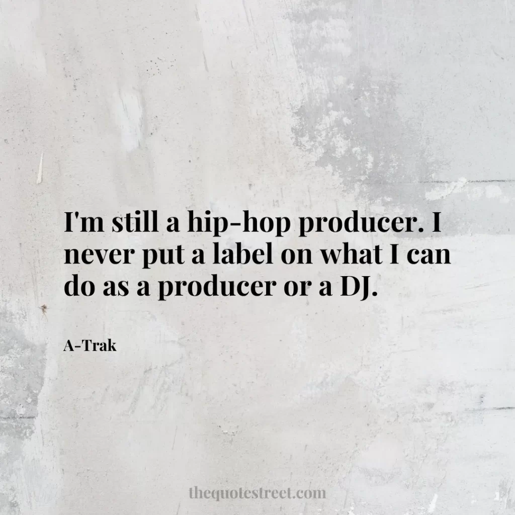 I'm still a hip-hop producer. I never put a label on what I can do as a producer or a DJ. - A-Trak