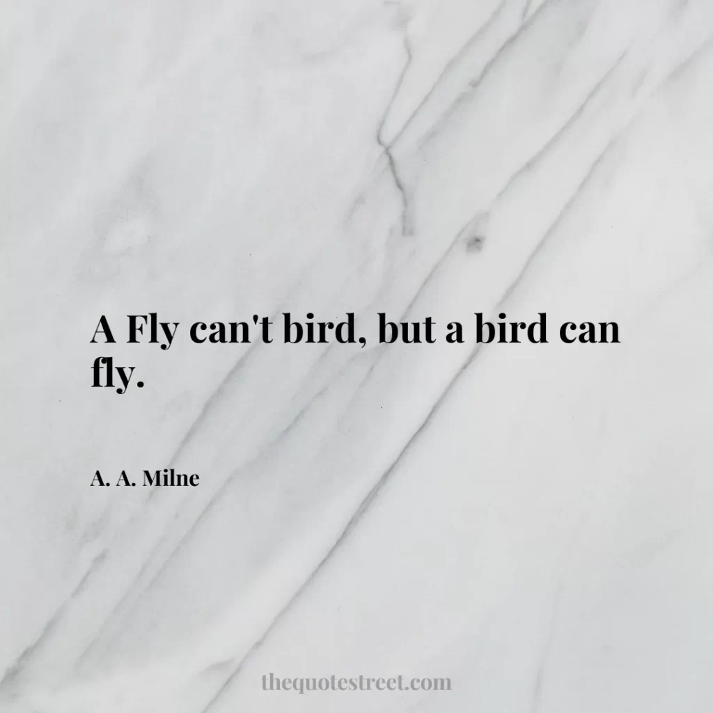 A Fly can't bird
