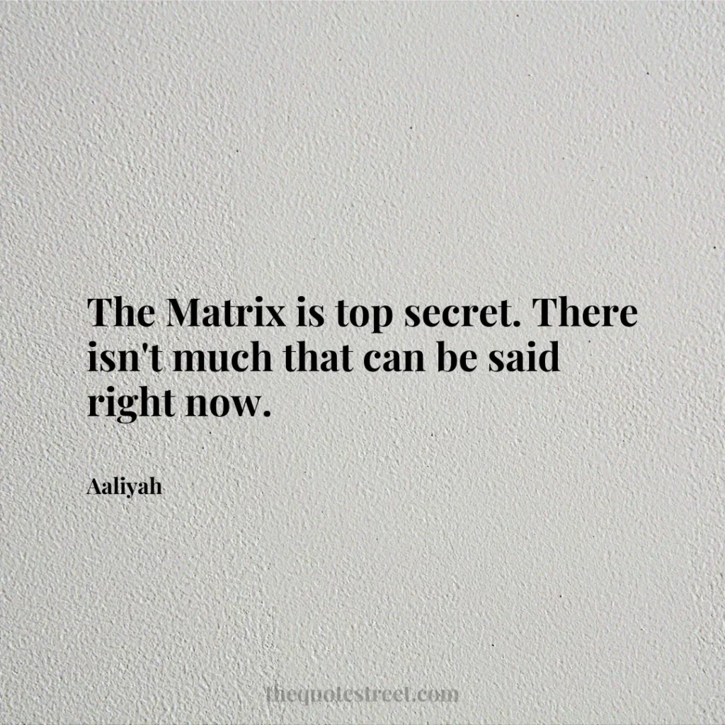 The Matrix is top secret. There isn't much that can be said right now. - Aaliyah