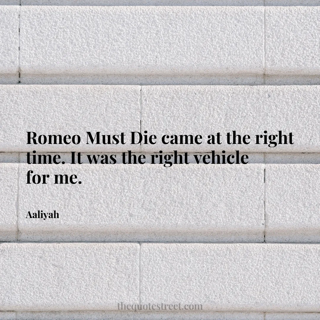 Romeo Must Die came at the right time. It was the right vehicle for me. - Aaliyah