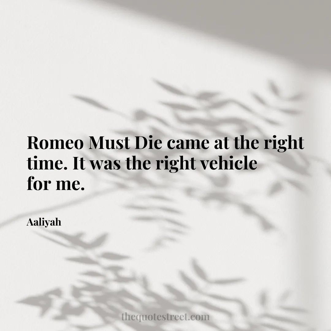 Romeo Must Die came at the right time. It was the right vehicle for me. - Aaliyah