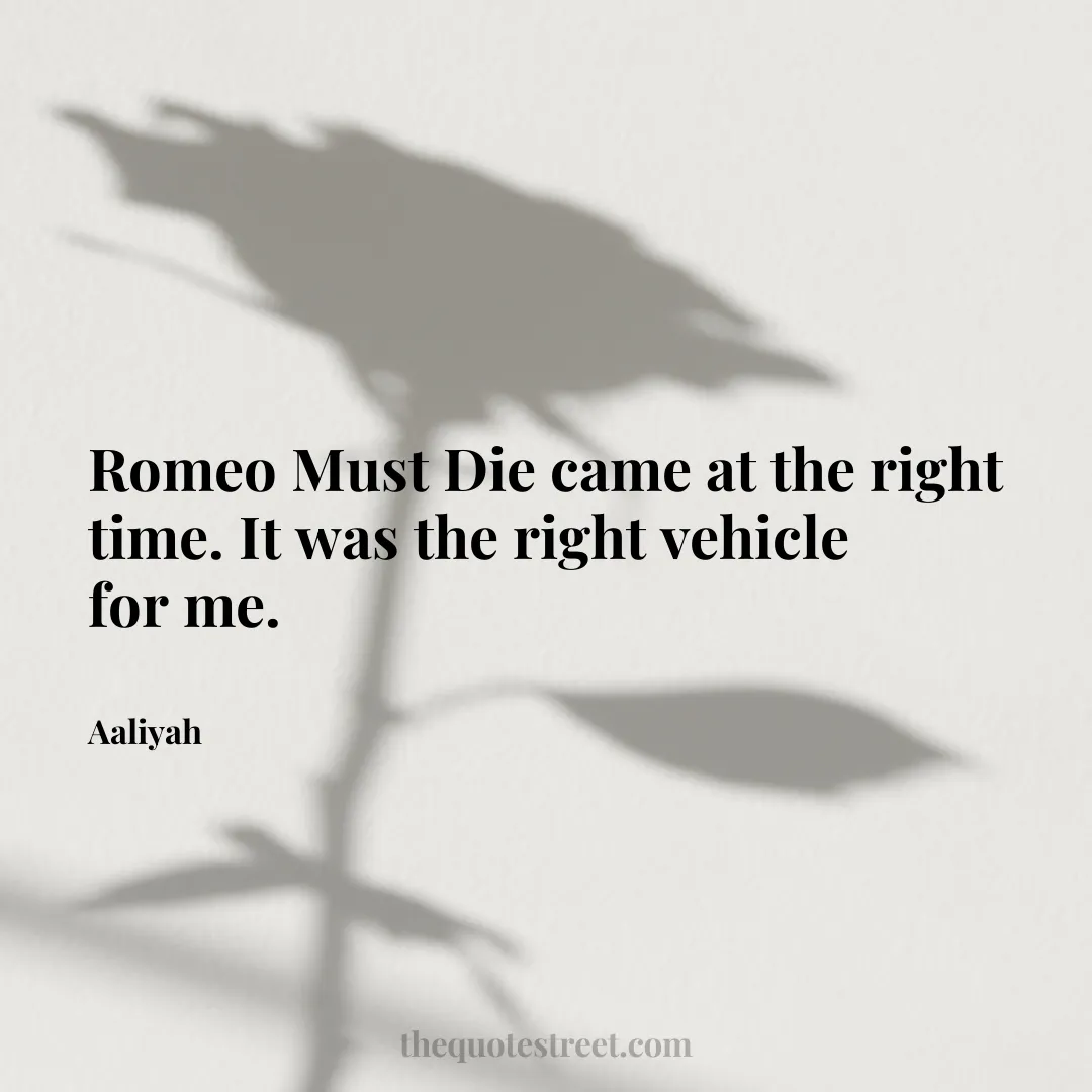 Romeo Must Die came at the right time. It was the right vehicle for me. - Aaliyah