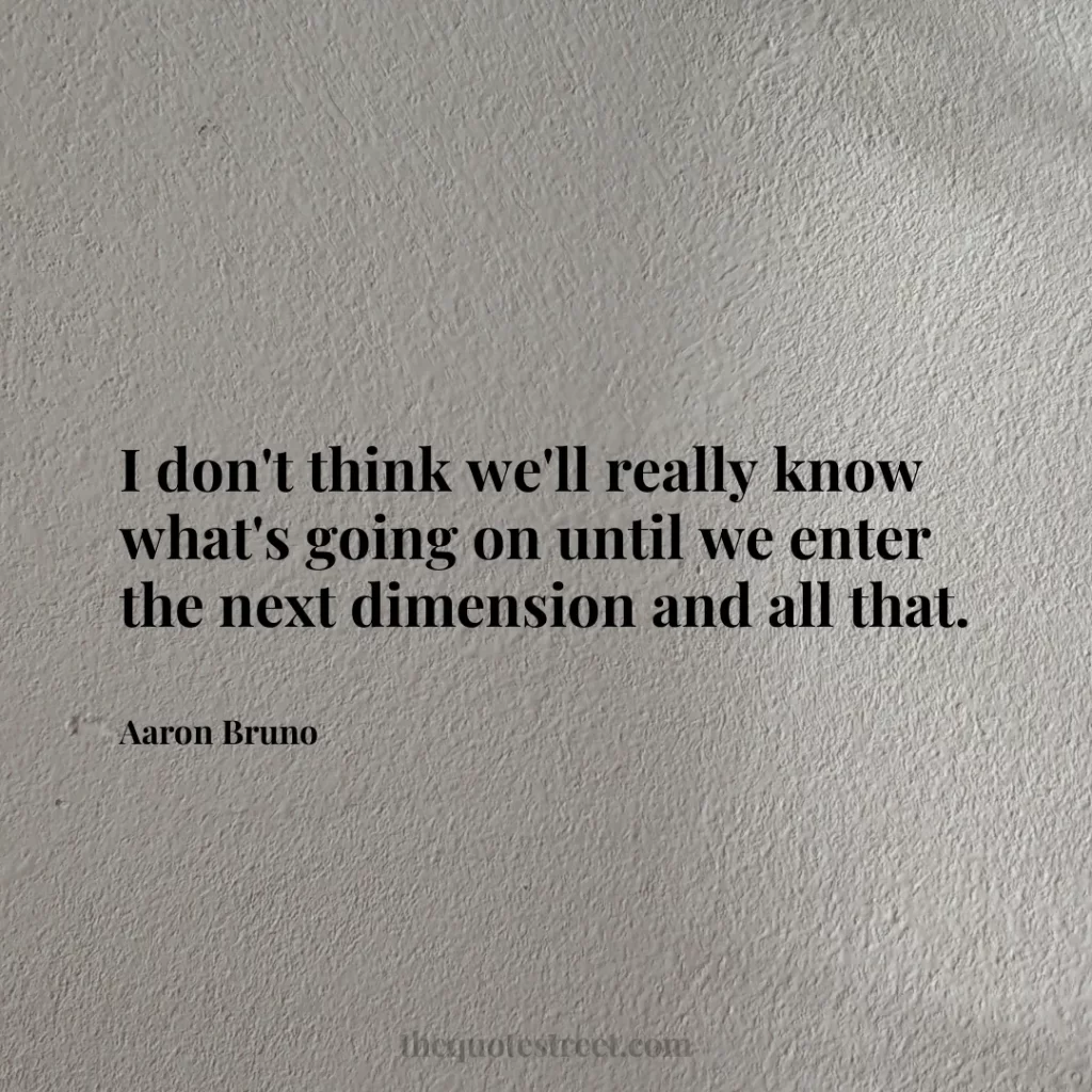 I don't think we'll really know what's going on until we enter the next dimension and all that. - Aaron Bruno