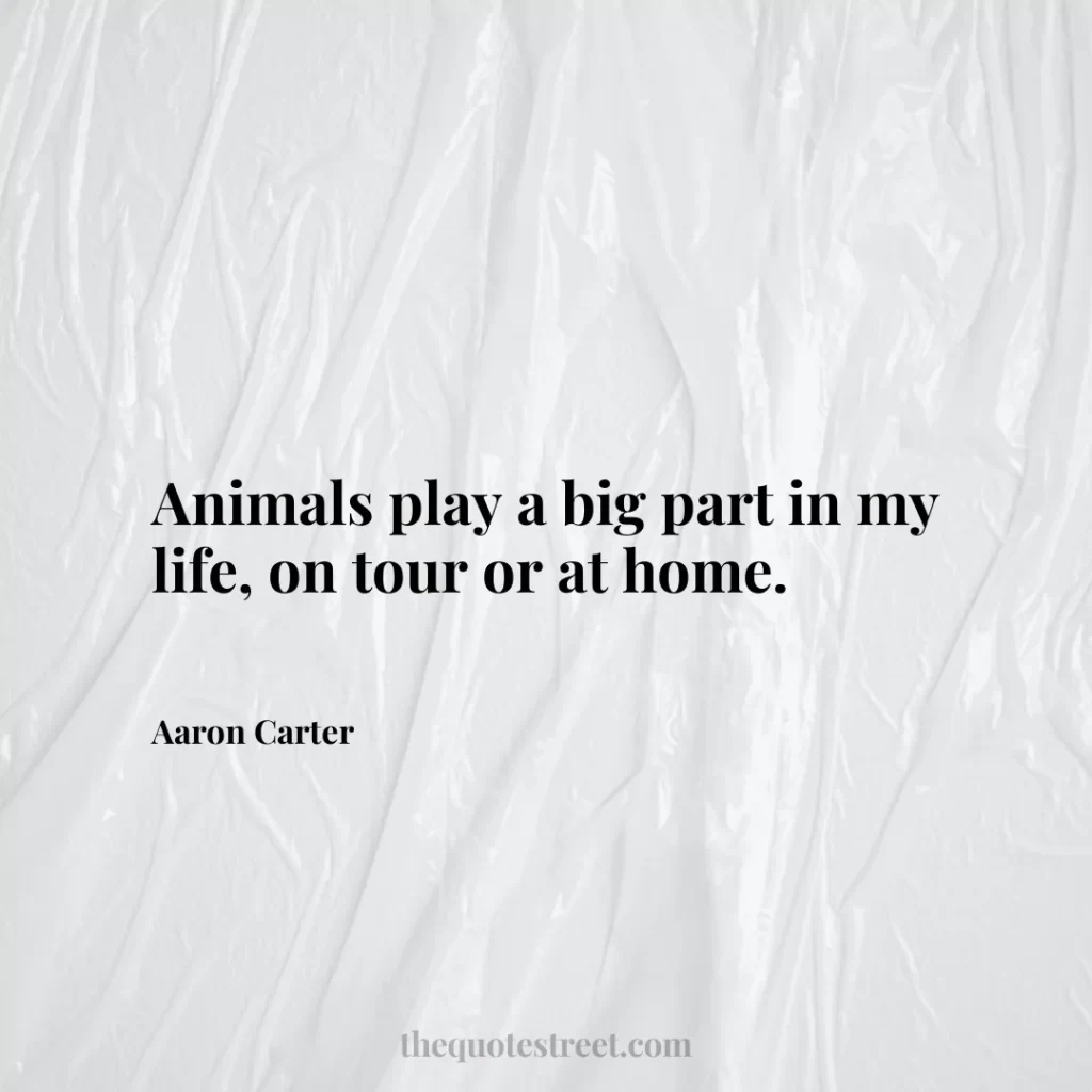 Animals play a big part in my life