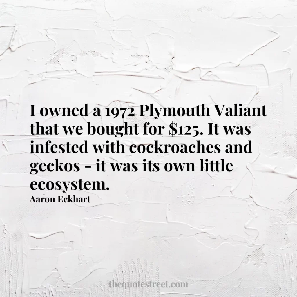 I owned a 1972 Plymouth Valiant that we bought for $125. It was infested with cockroaches and geckos - it was its own little ecosystem. - Aaron Eckhart