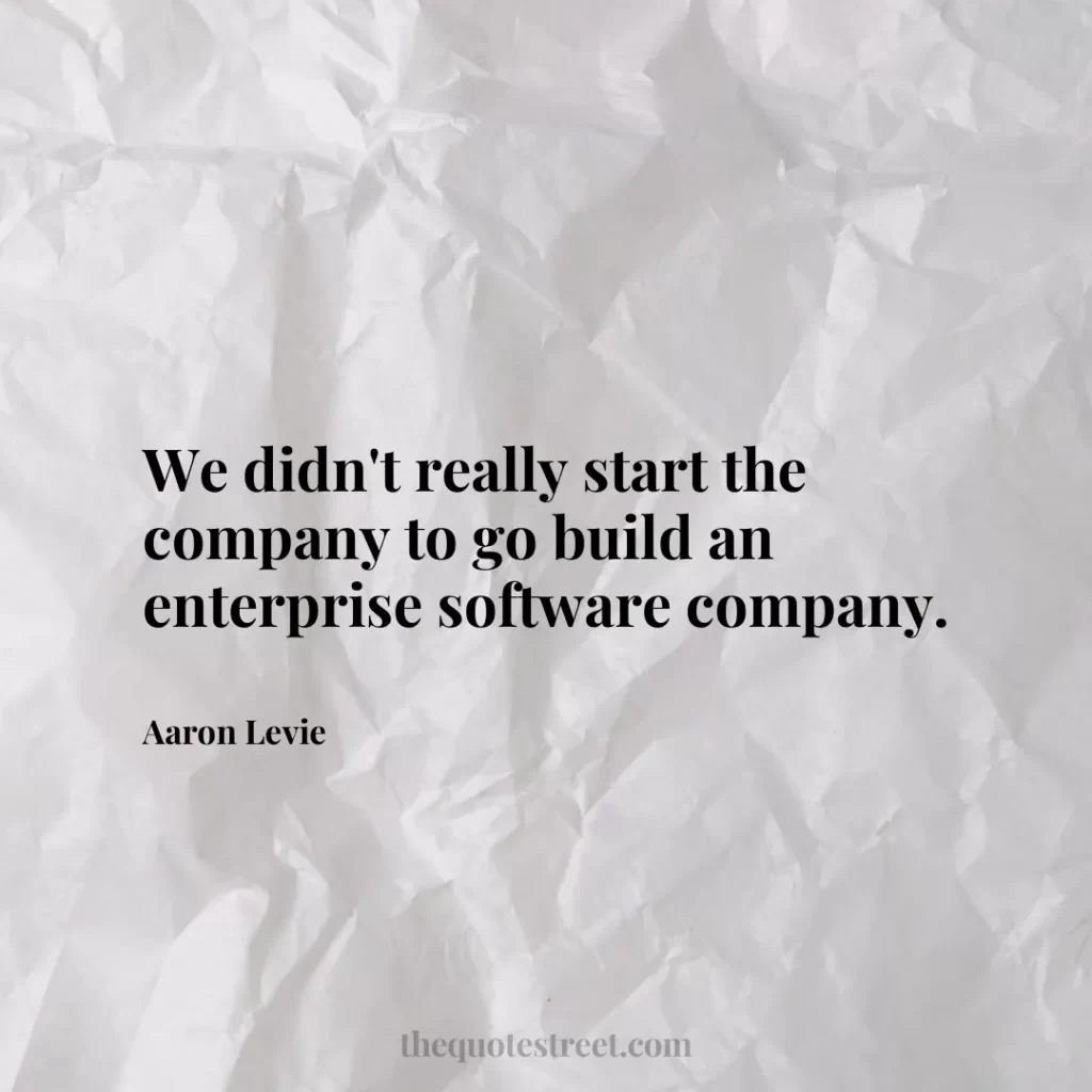 We didn't really start the company to go build an enterprise software company. - Aaron Levie
