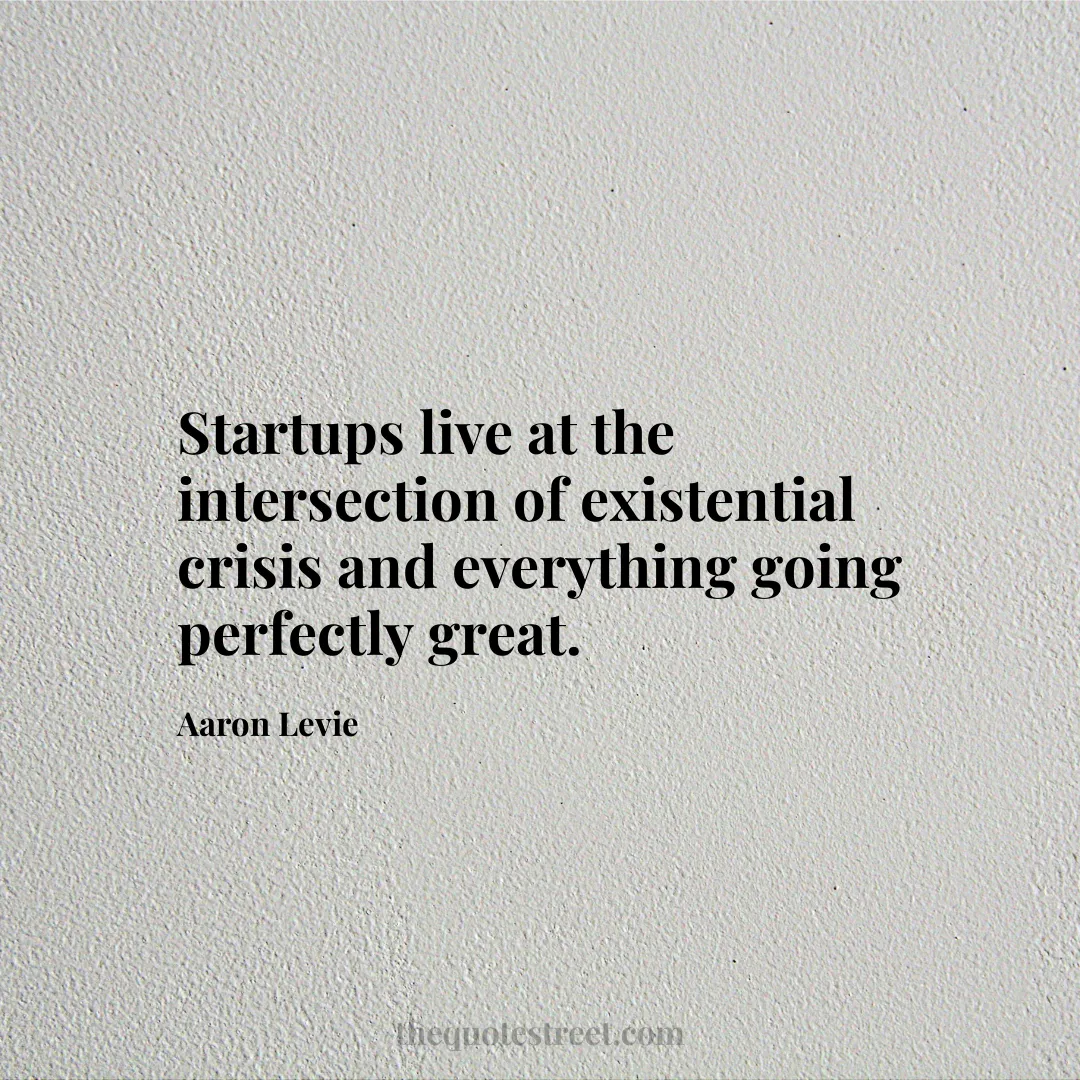 Startups live at the intersection of existential crisis and everything going perfectly great. - Aaron Levie