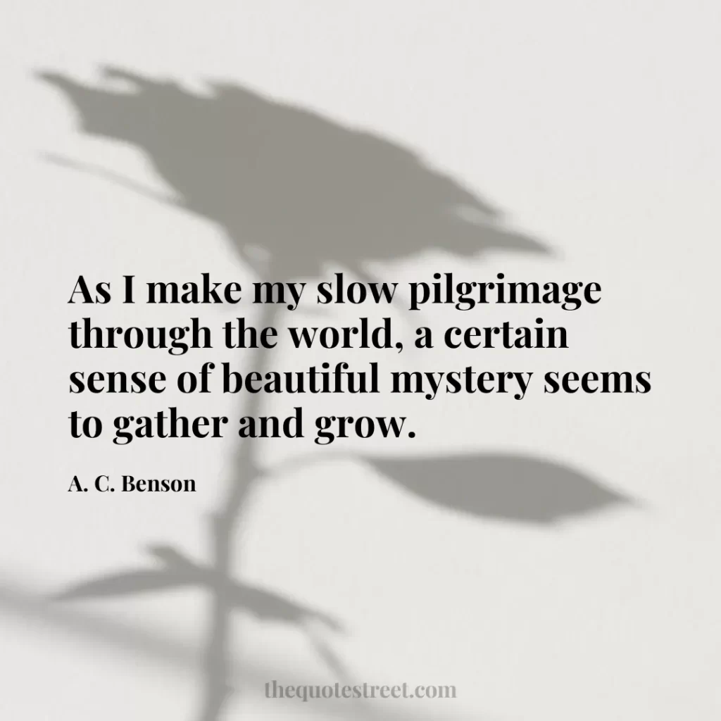 As I make my slow pilgrimage through the world