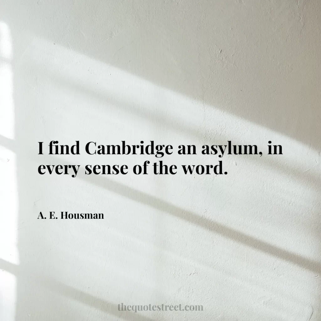 I find Cambridge an asylum