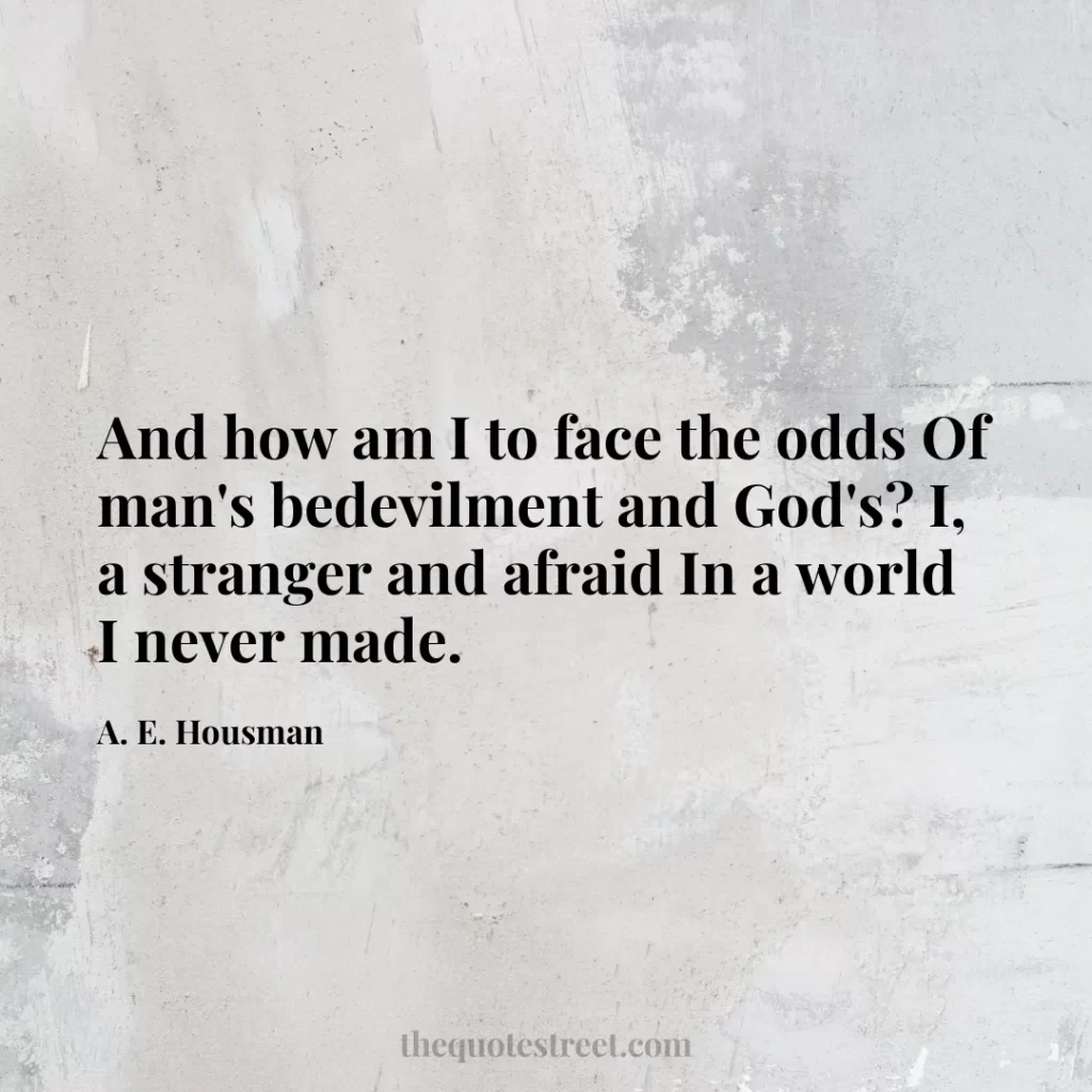 And how am I to face the odds Of man's bedevilment and God's? I