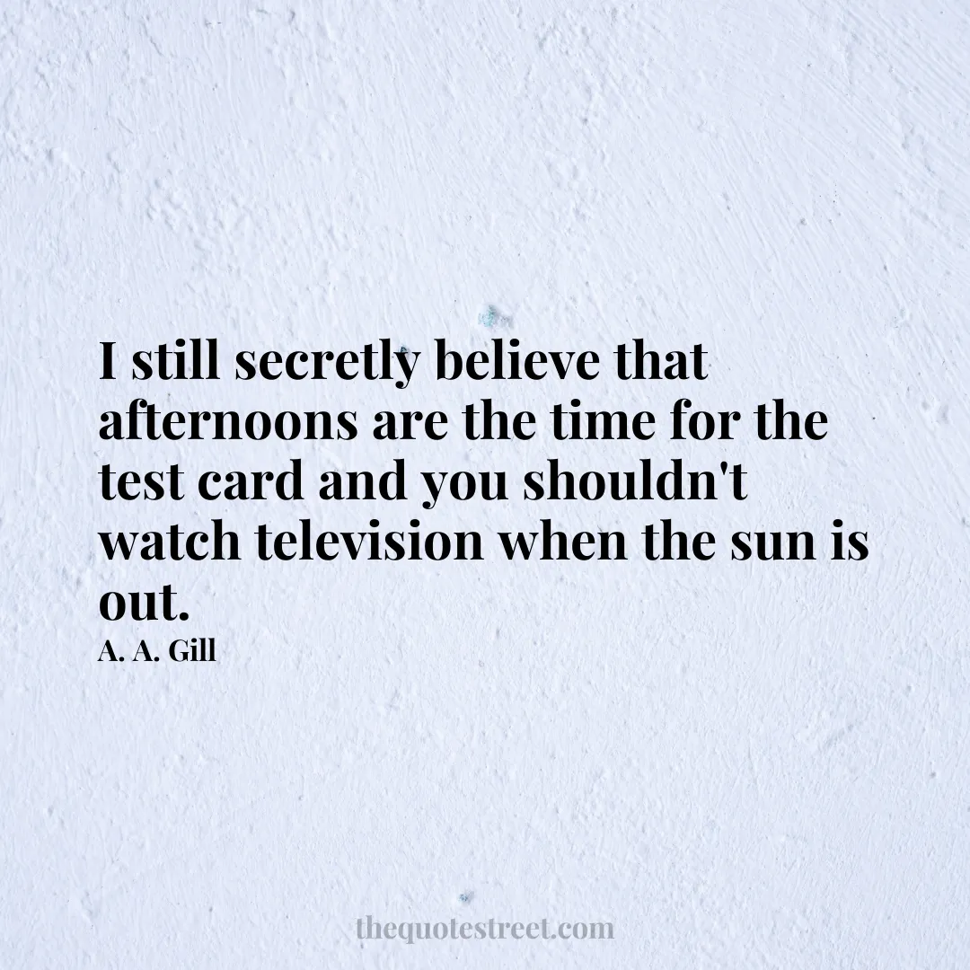 I still secretly believe that afternoons are the time for the test card and you shouldn't watch television when the sun is out. - A. A. Gill