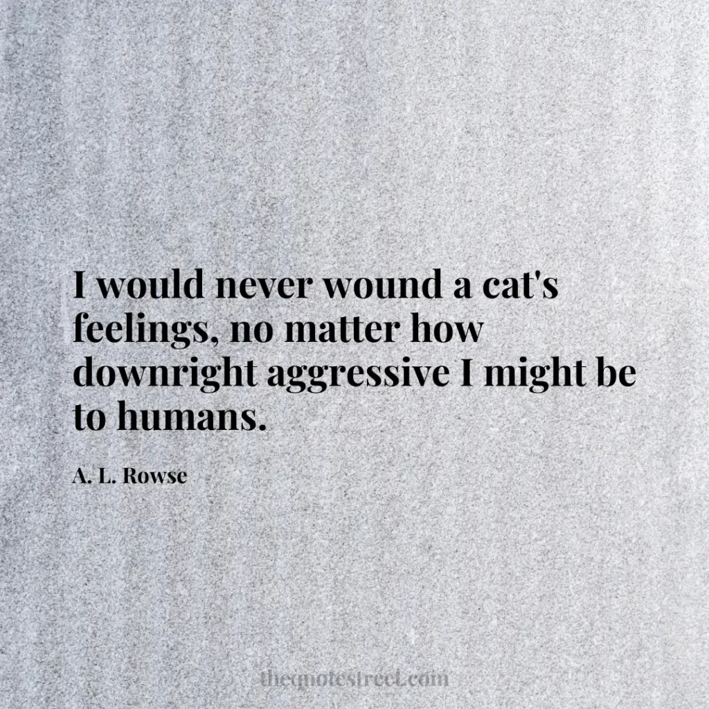 I would never wound a cat's feelings