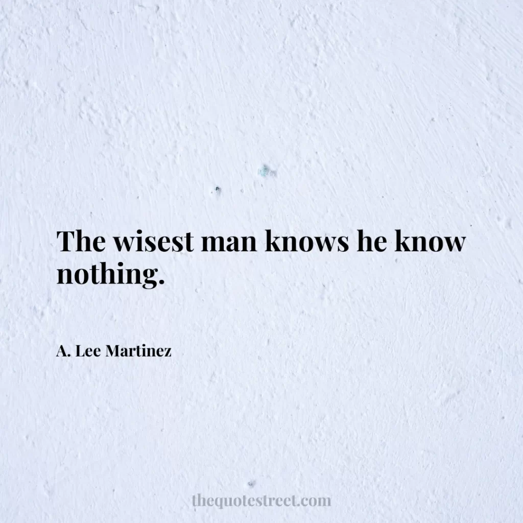 The wisest man knows he know nothing. - A. Lee Martinez