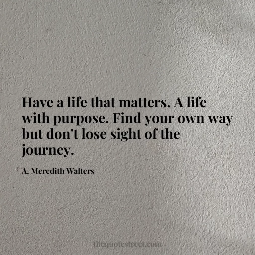 Have a life that matters. A life with purpose. Find your own way but don't lose sight of the journey. - A. Meredith Walters