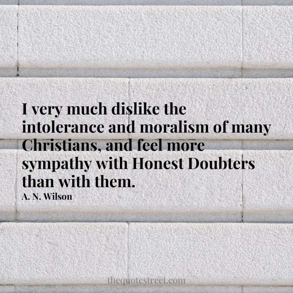 I very much dislike the intolerance and moralism of many Christians