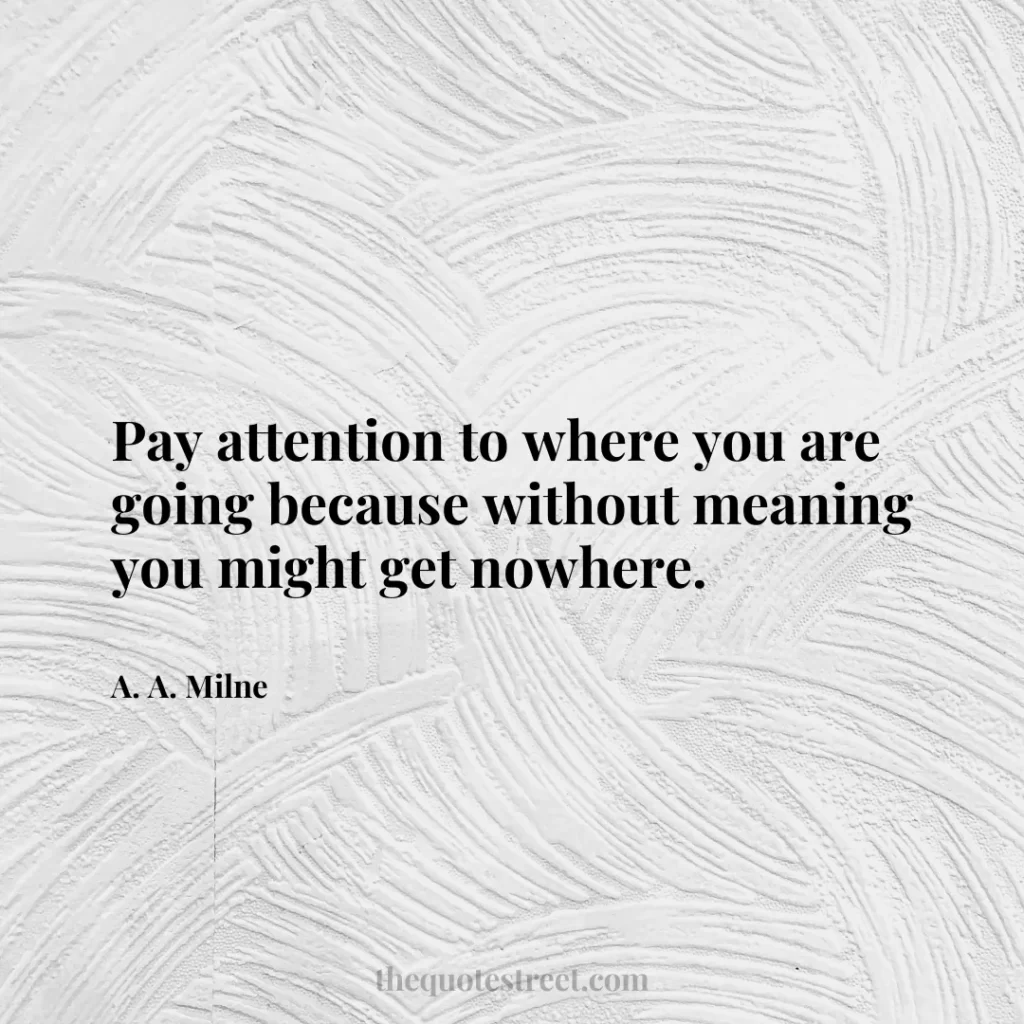 Pay attention to where you are going because without meaning you might get nowhere. - A. A. Milne