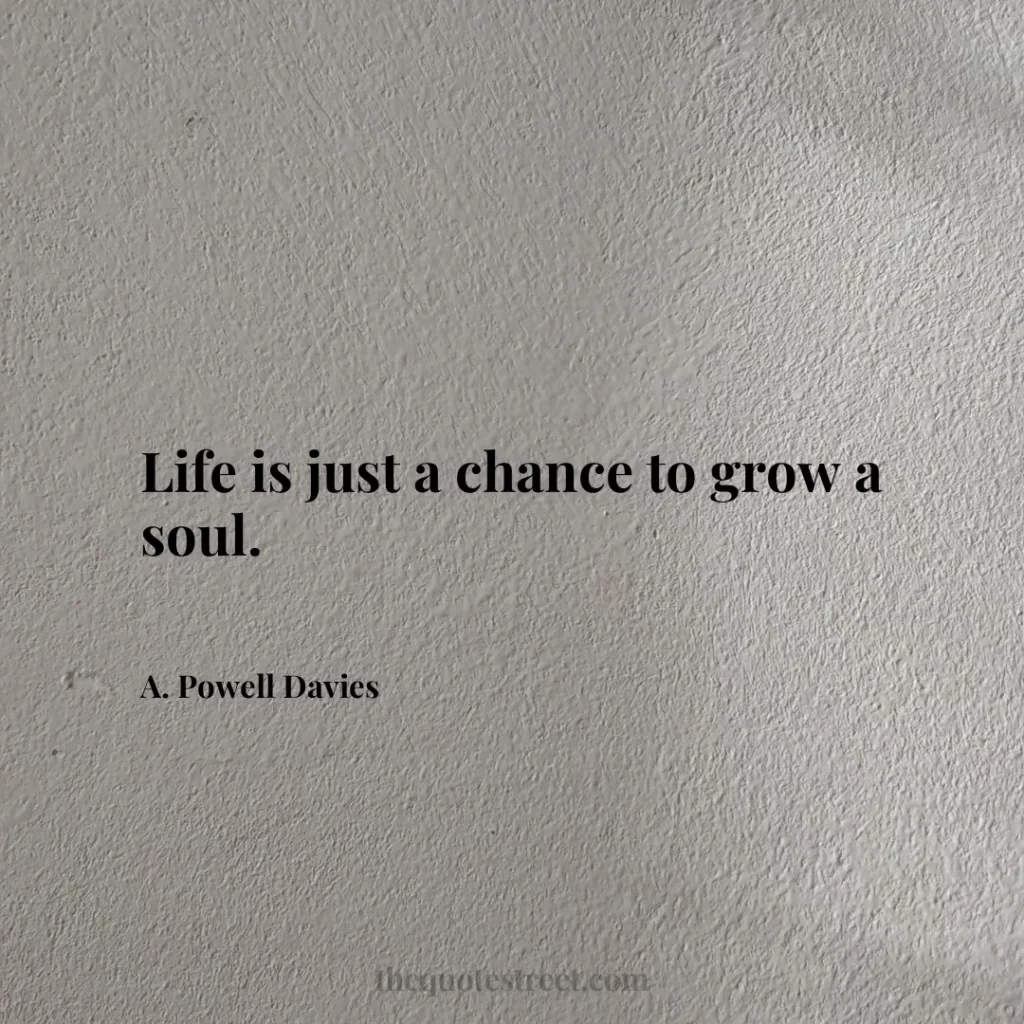 Life is just a chance to grow a soul. - A. Powell Davies
