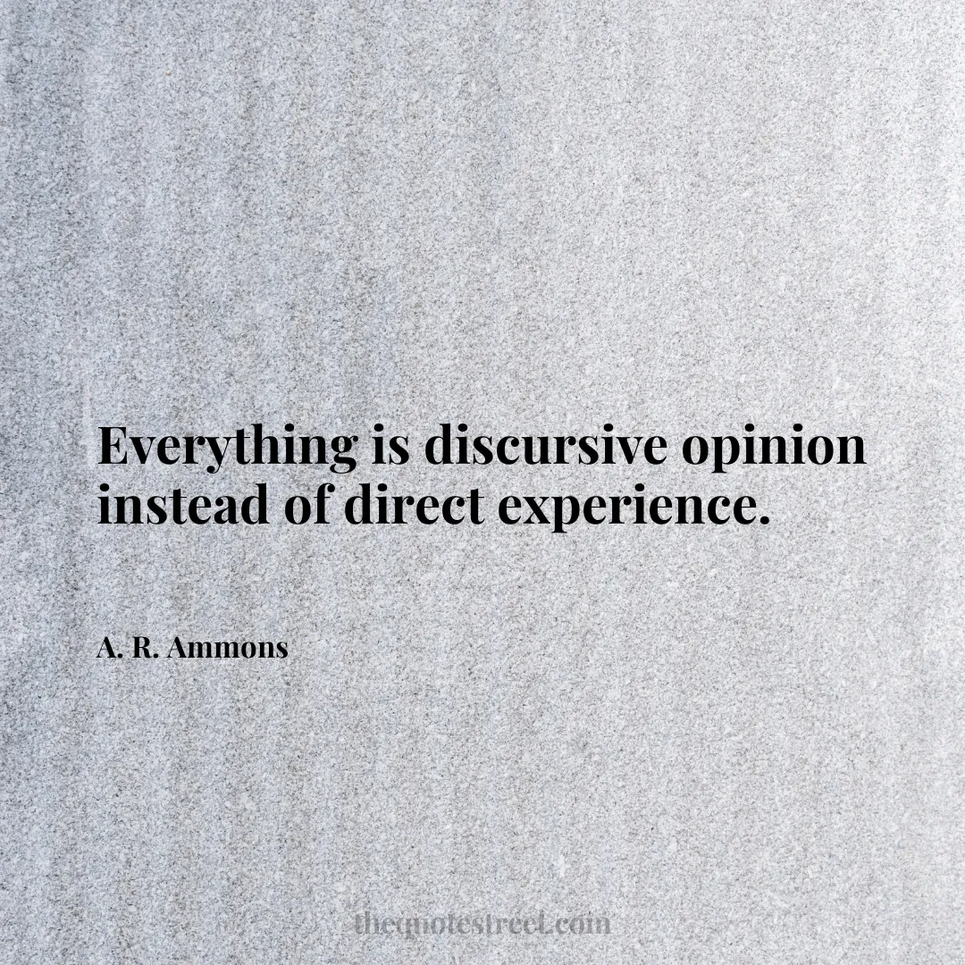 Everything is discursive opinion instead of direct experience. - A. R. Ammons