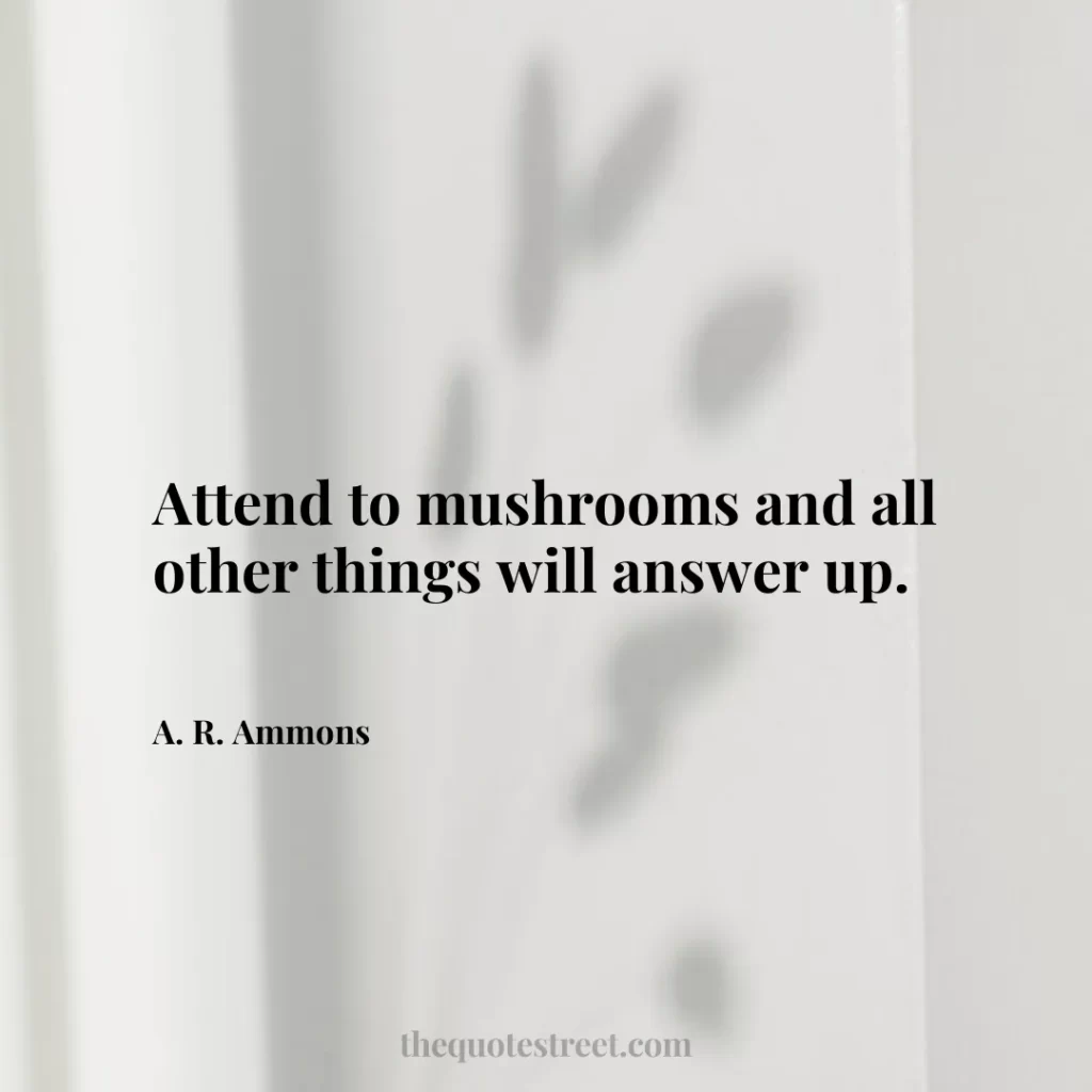 Attend to mushrooms and all other things will answer up. - A. R. Ammons