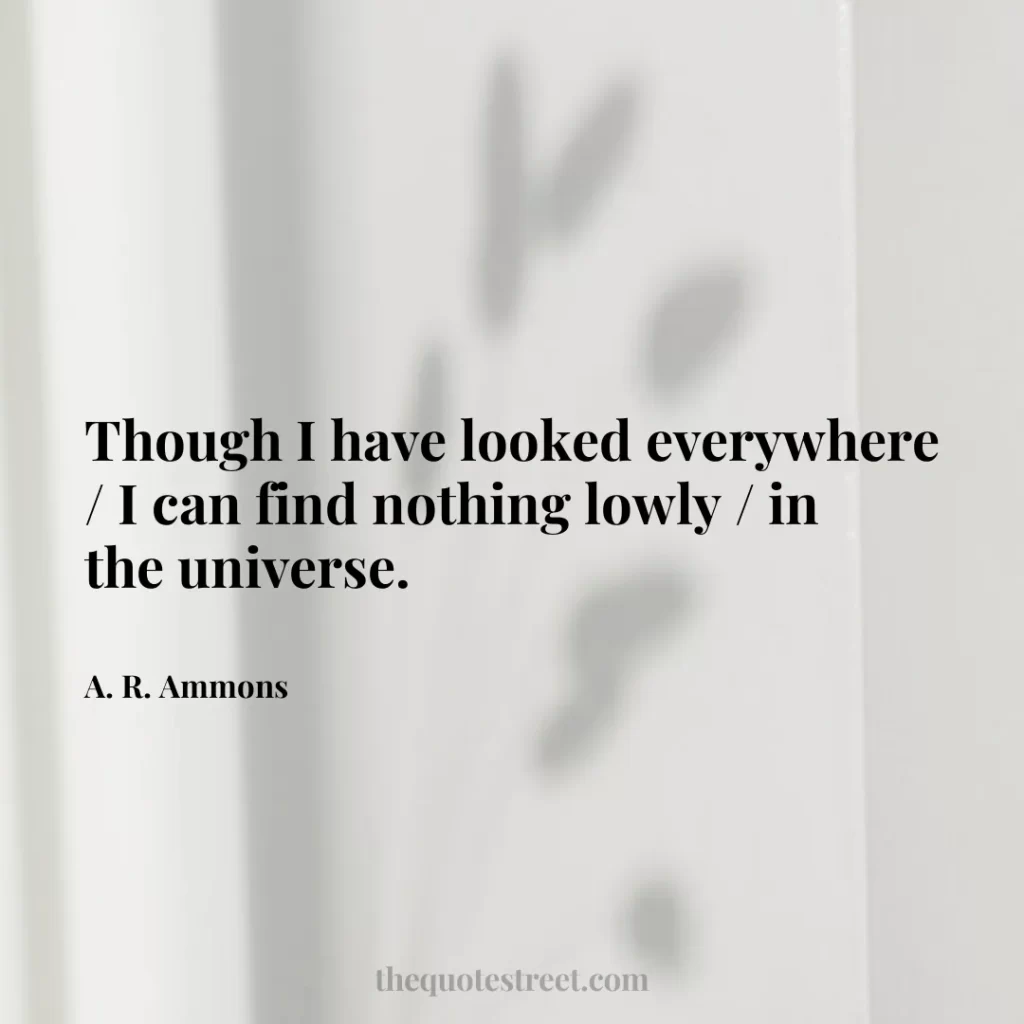 Though I have looked everywhere / I can find nothing lowly / in the universe. - A. R. Ammons