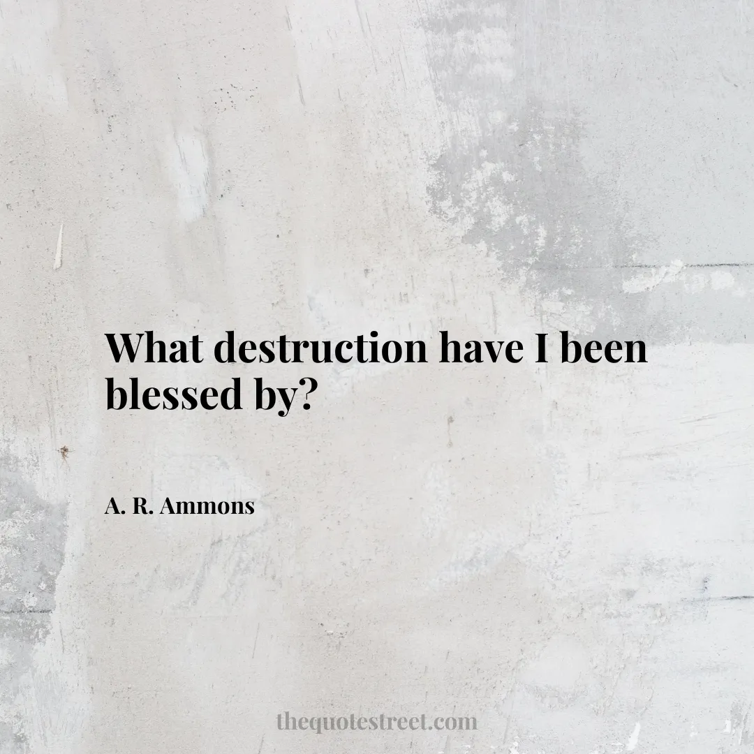 What destruction have I been blessed by? - A. R. Ammons