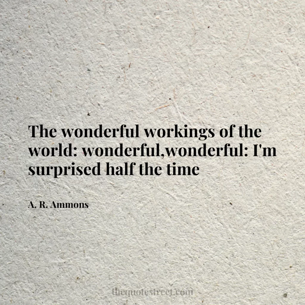 The wonderful workings of the world: wonderful