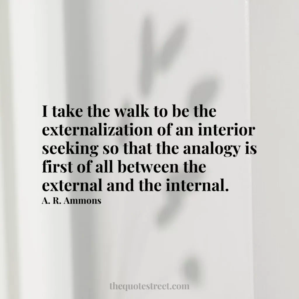 I take the walk to be the externalization of an interior seeking so that the analogy is first of all between the external and the internal. - A. R. Ammons