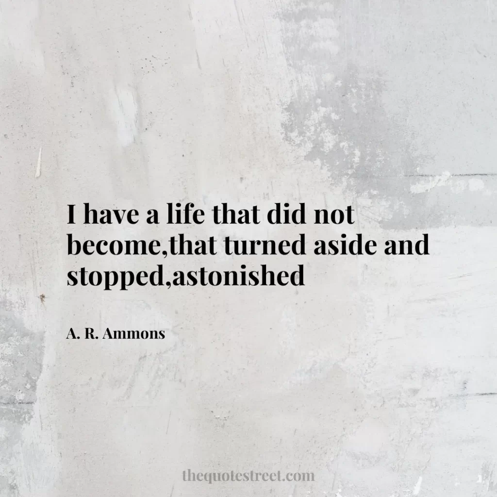 I have a life that did not become