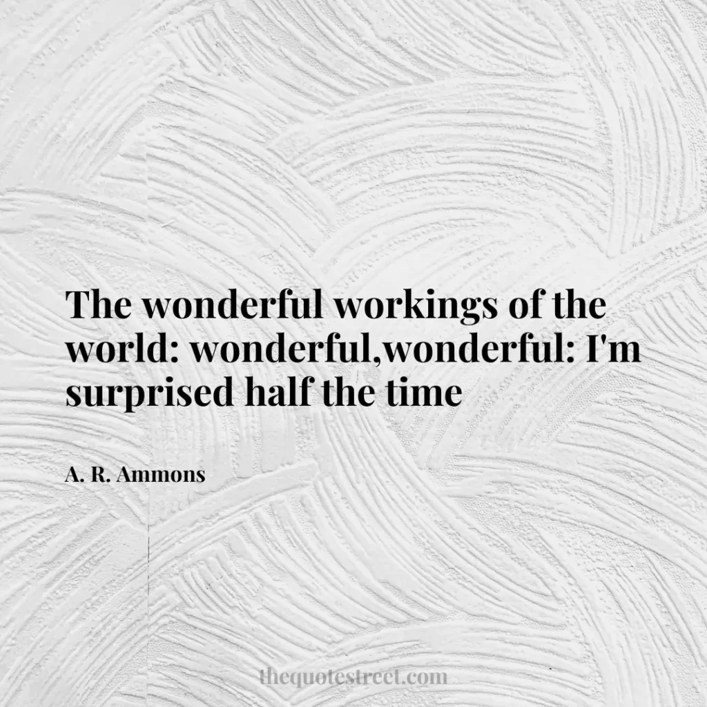 The wonderful workings of the world: wonderful