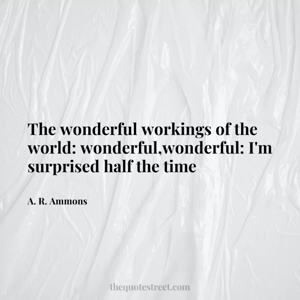 The wonderful workings of the world: wonderful