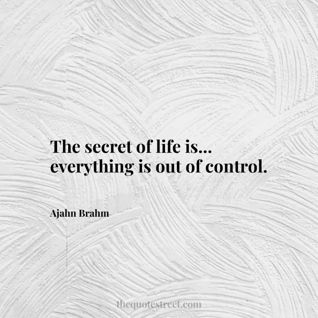 The secret of life is... everything is out of control. - Ajahn Brahm