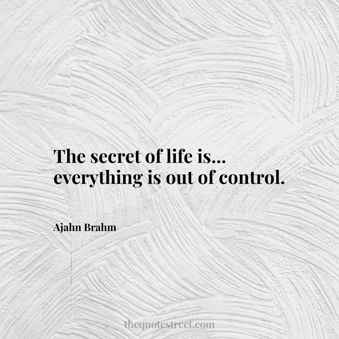 The secret of life is... everything is out of control. - Ajahn Brahm