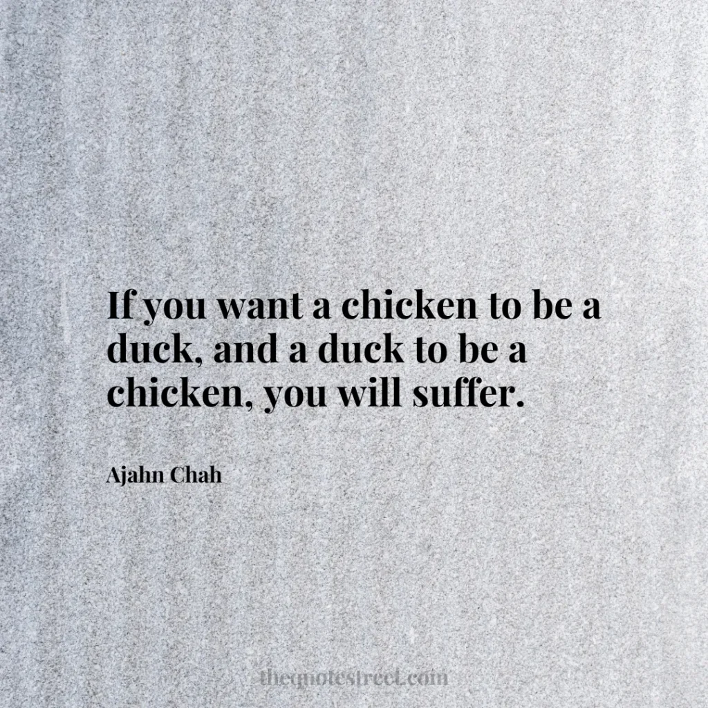 If you want a chicken to be a duck