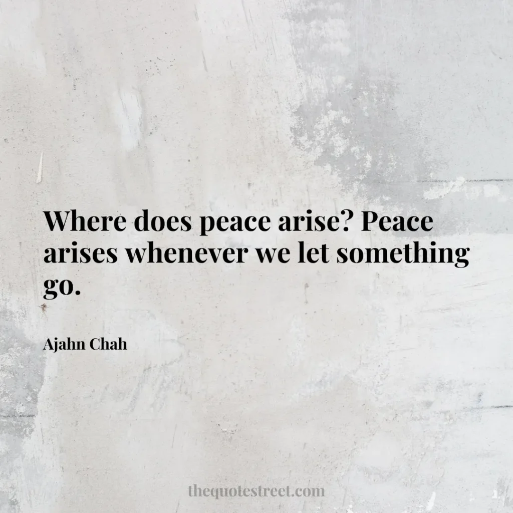 Where does peace arise? Peace arises whenever we let something go. - Ajahn Chah