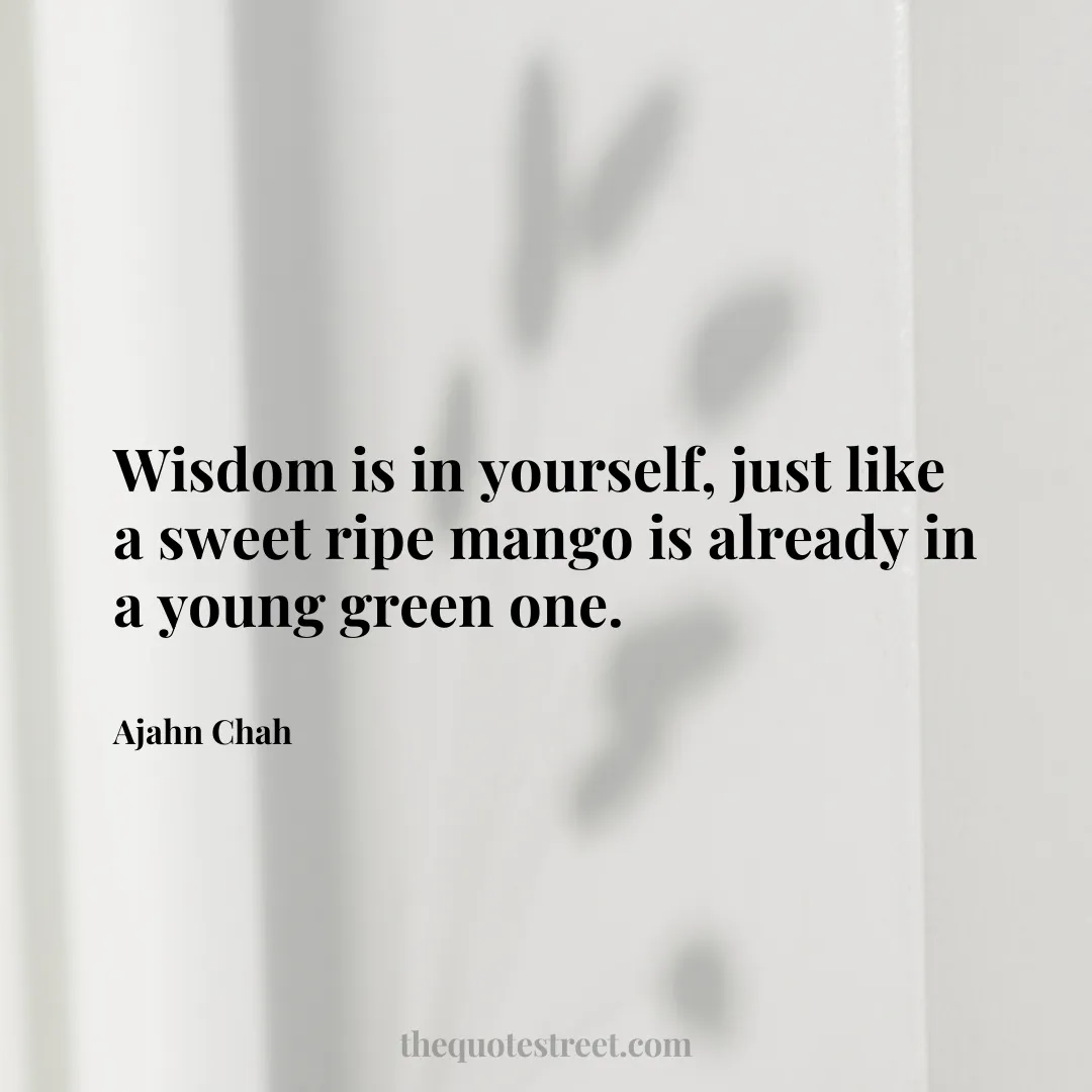 Wisdom is in yourself