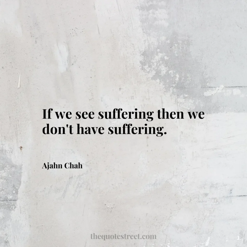 If we see suffering then we don't have suffering. - Ajahn Chah
