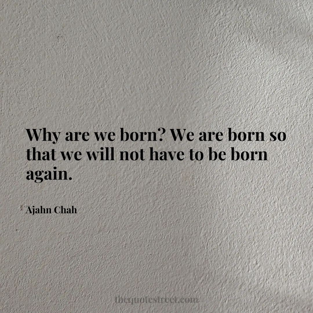 Why are we born? We are born so that we will not have to be born again. - Ajahn Chah