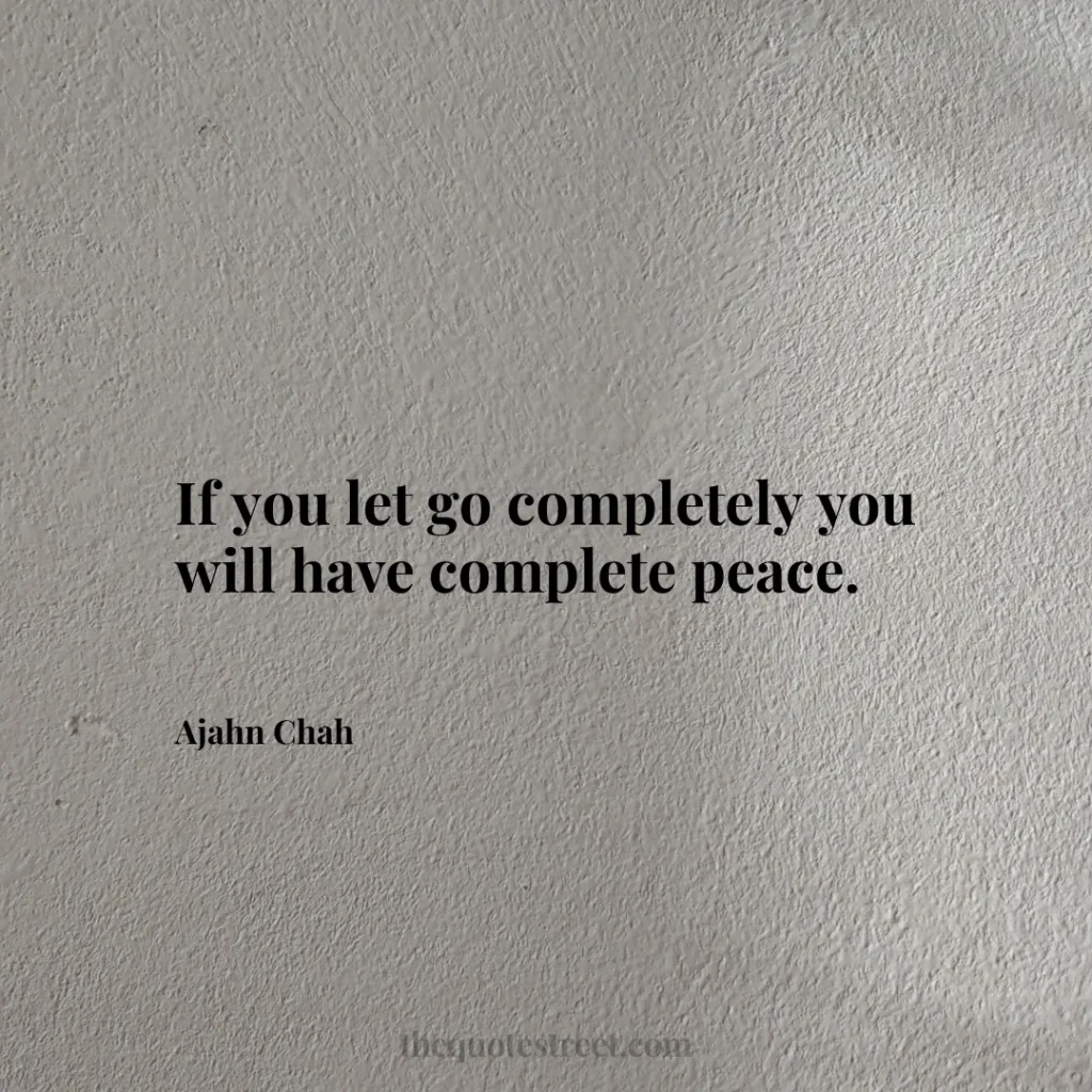 If you let go completely you will have complete peace. - Ajahn Chah