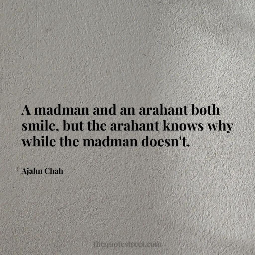 A madman and an arahant both smile