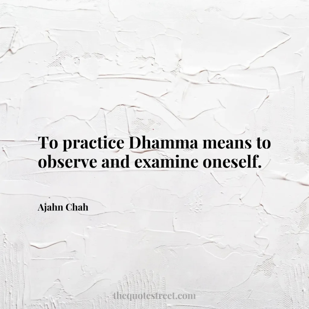 To practice Dhamma means to observe and examine oneself. - Ajahn Chah